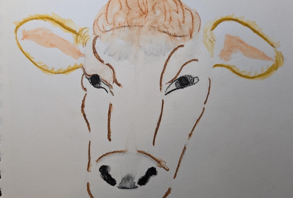Cow - student project