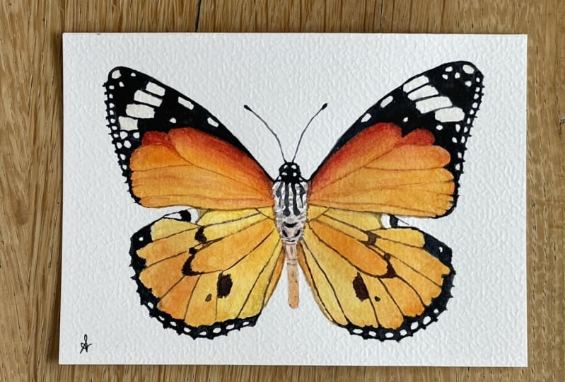 Watercolour butterfly