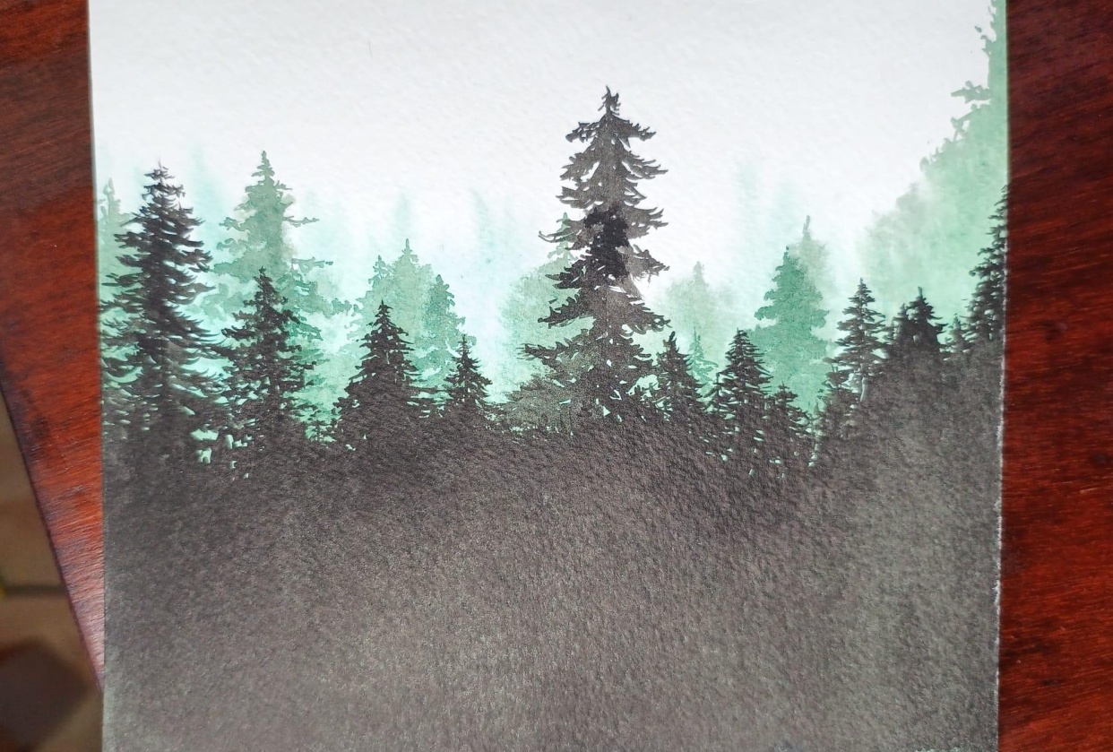 Misty Forest try - student project