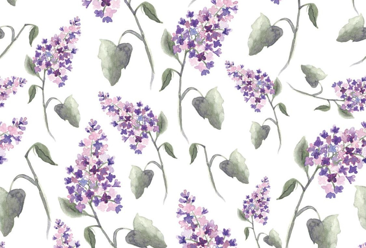 Lilacs - student project