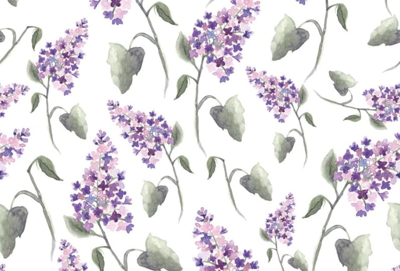Lilacs