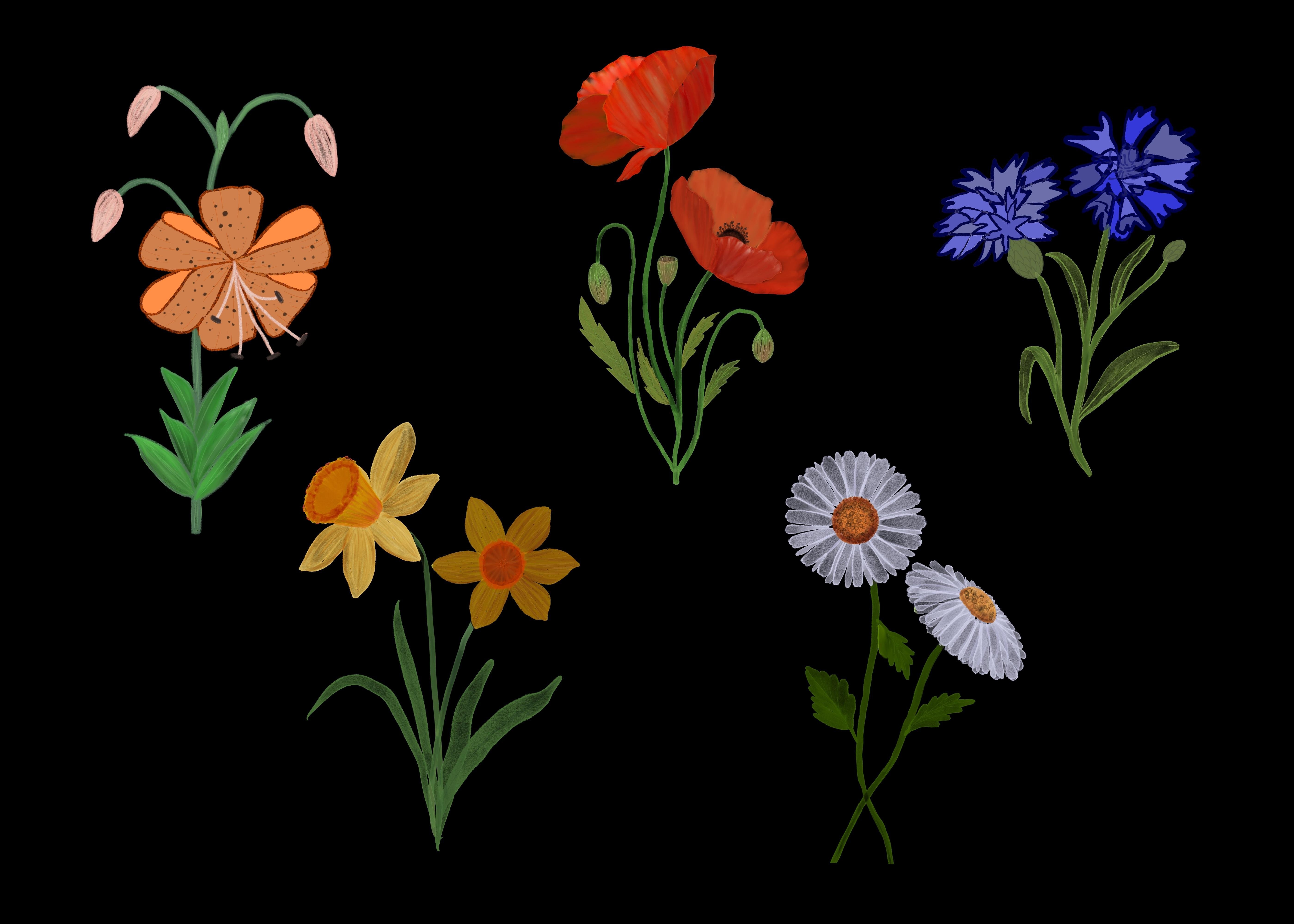 more-projects-from-class-img