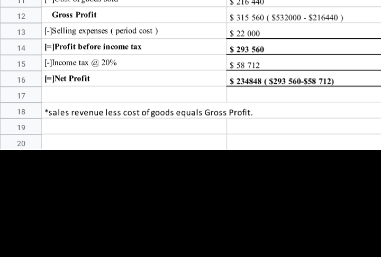 Budgeted Income Statement - student project