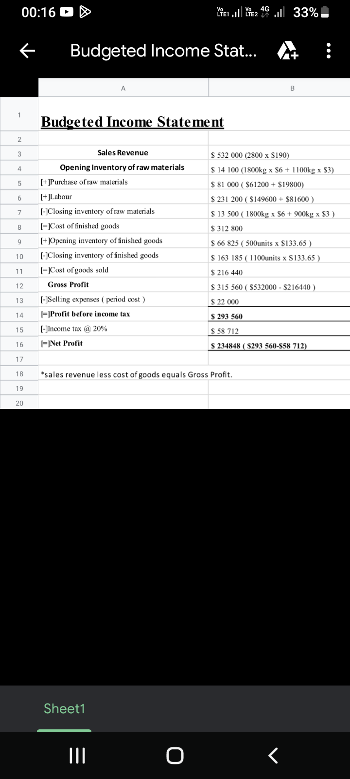 Budgeted Income Statement - student project
