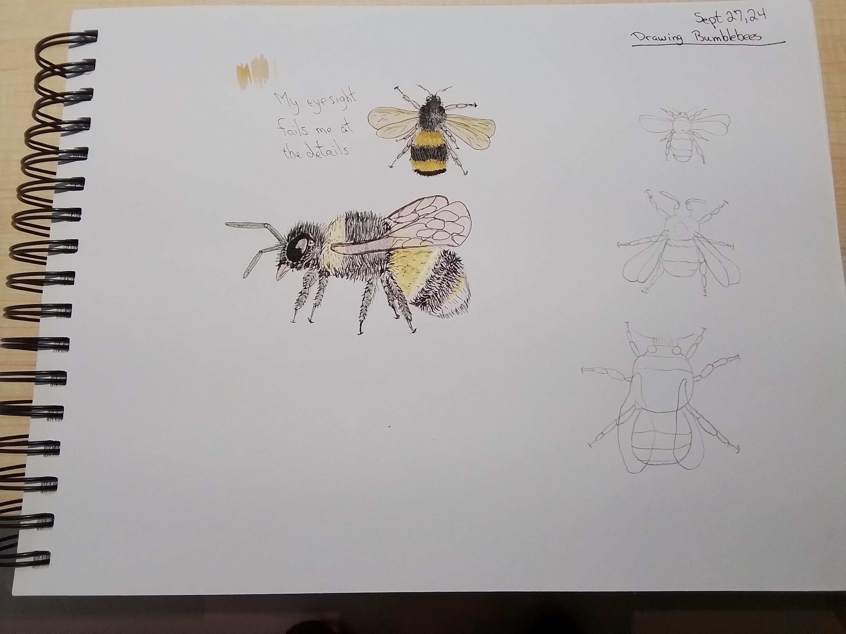 more-projects-from-class-img