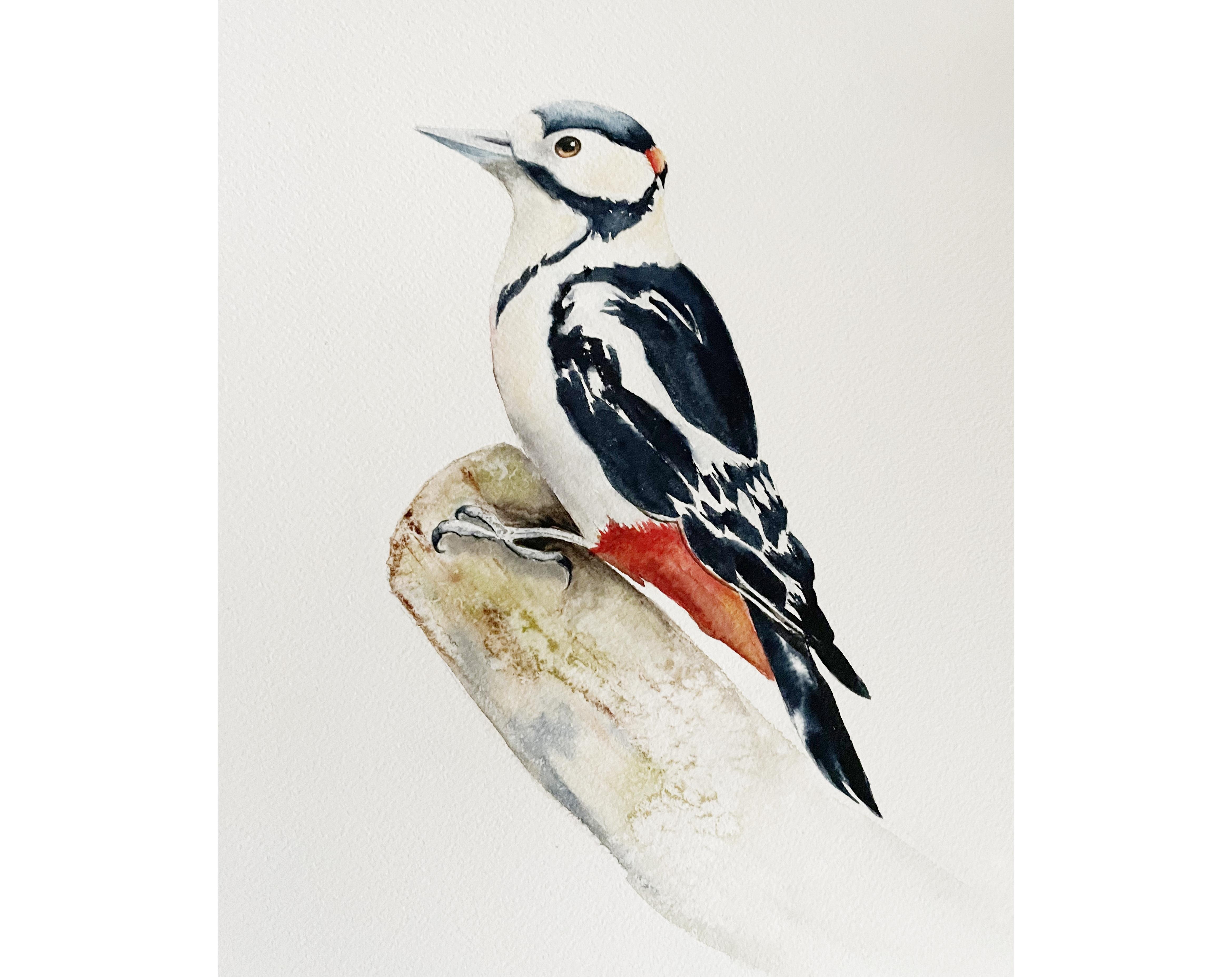 Woodpecker - student project