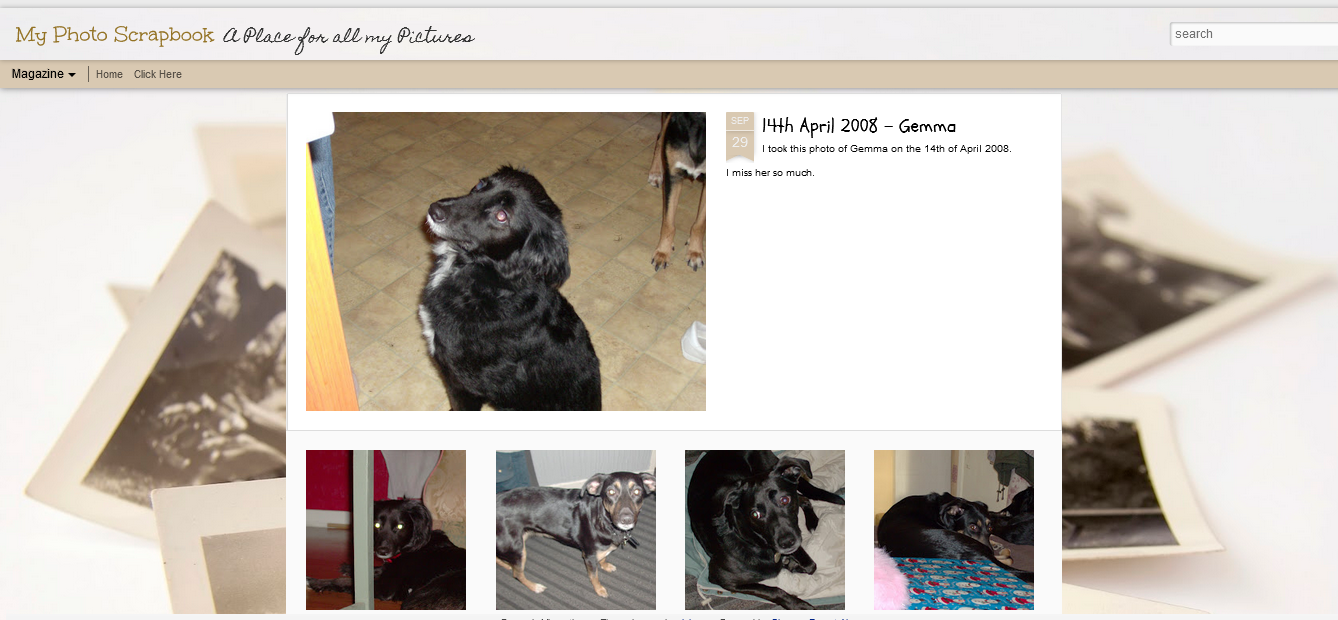 more-projects-from-class-img