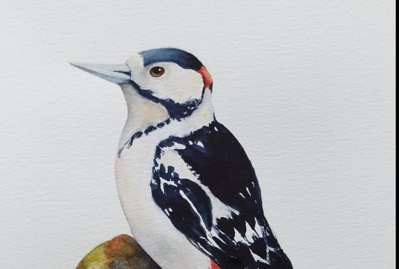 Woodpecker in watercolour - A class with Nadine Dudek