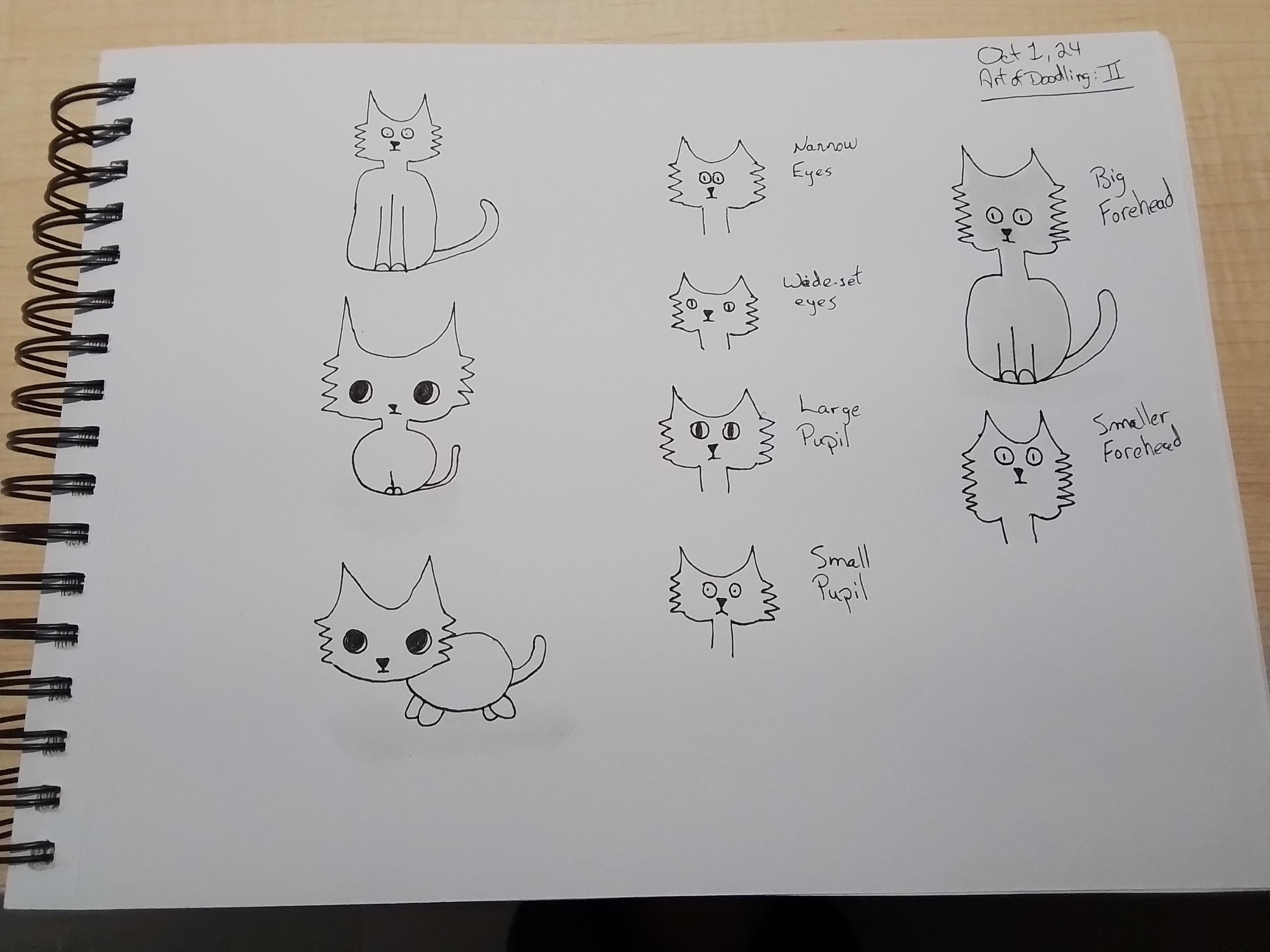 more-projects-from-class-img