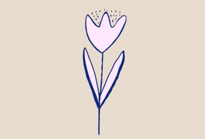 Flower & Book - Animation