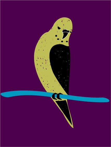 Budgie with texture - student project