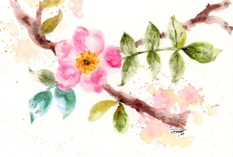 Assortment of Wildflowers in Watercolor