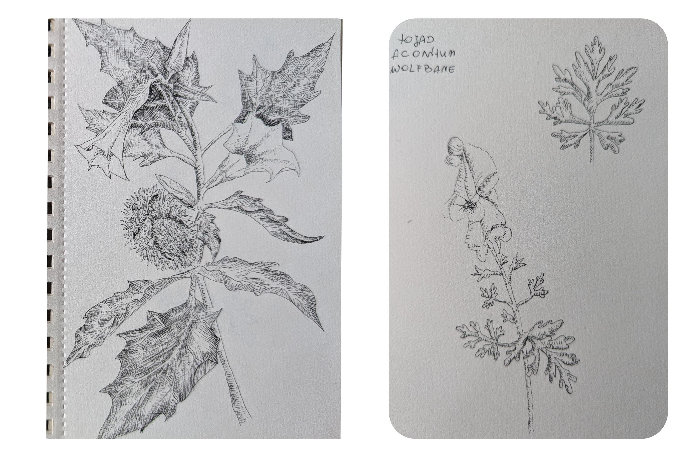 more-projects-from-class-img