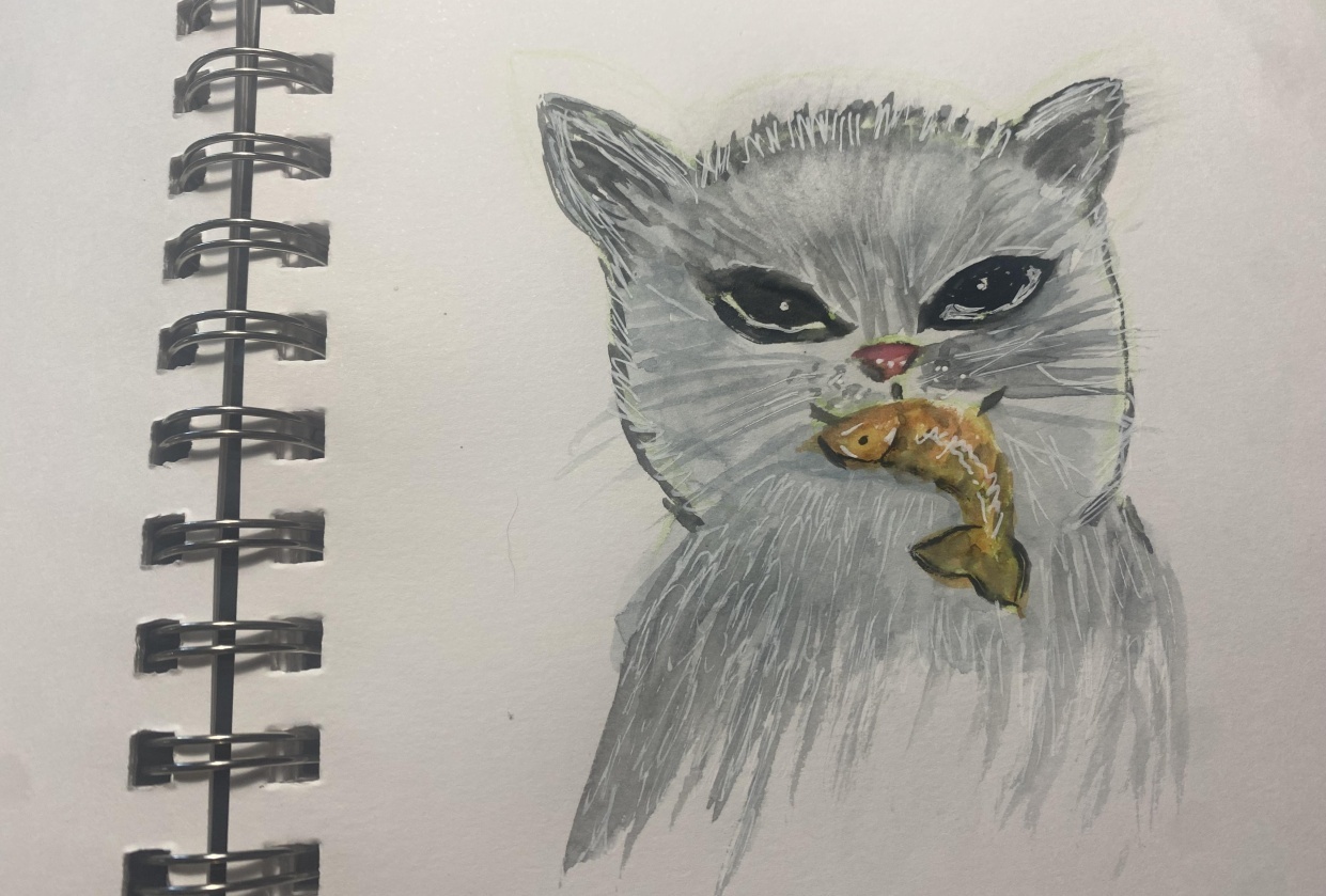 Cat - student project