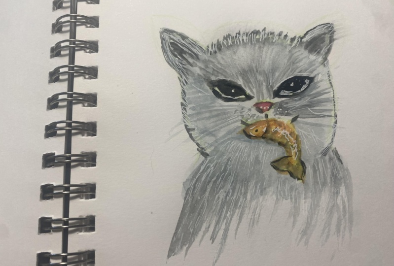 Cat