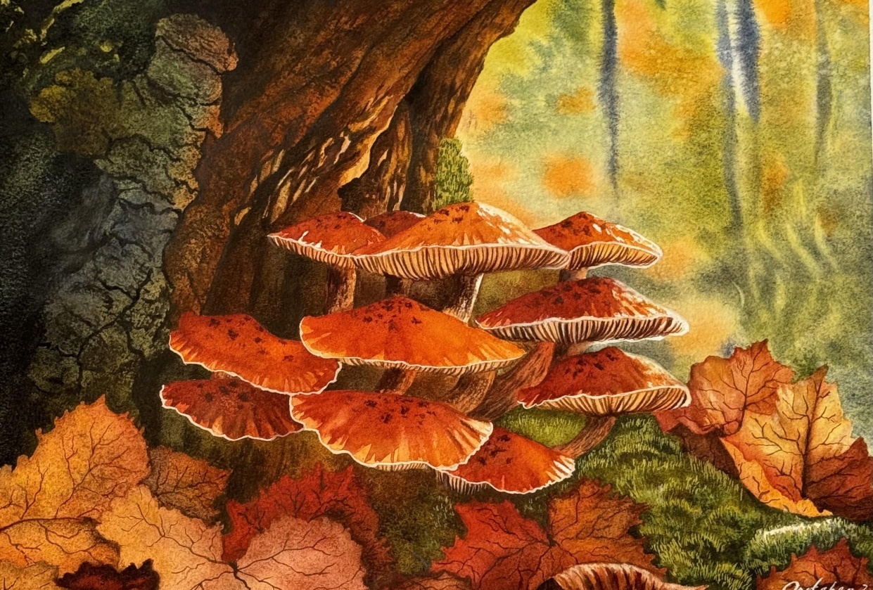 golden mushrooms - student project