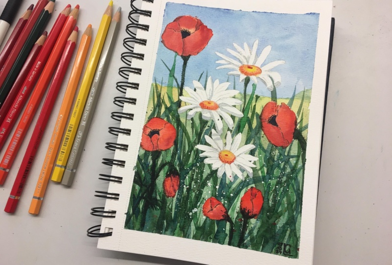 Daisies and Poppies