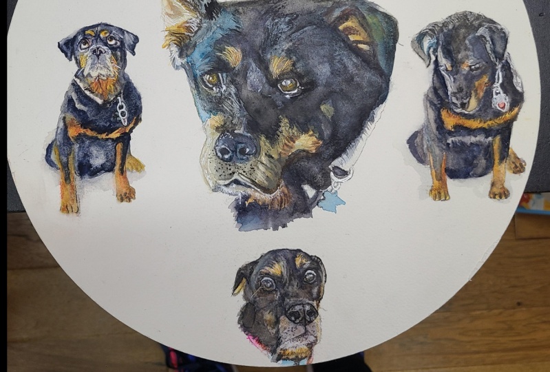 Many faces of Grizz