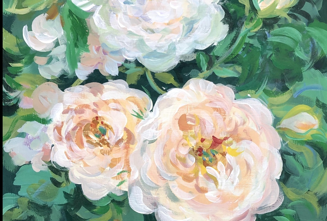 Peonies - student project