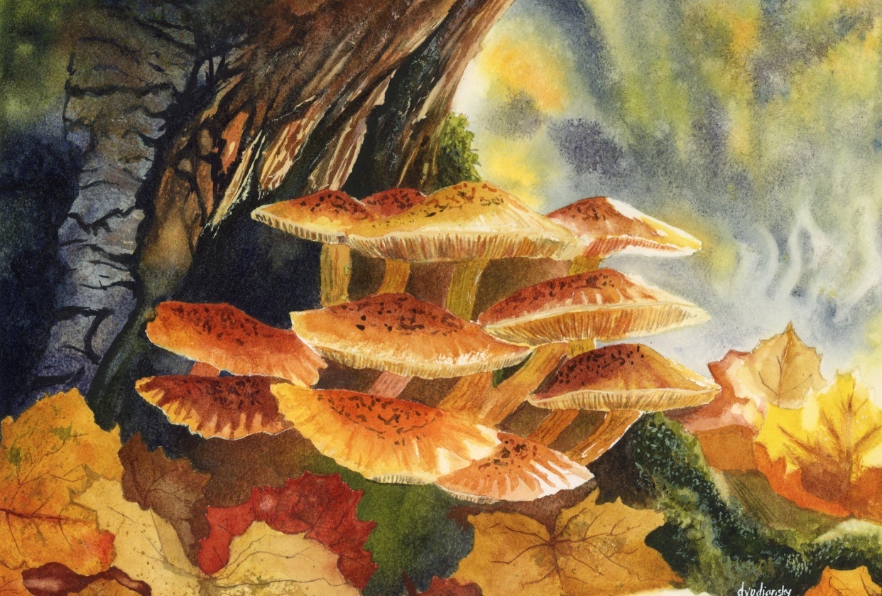 Golden Mushrooms - student project