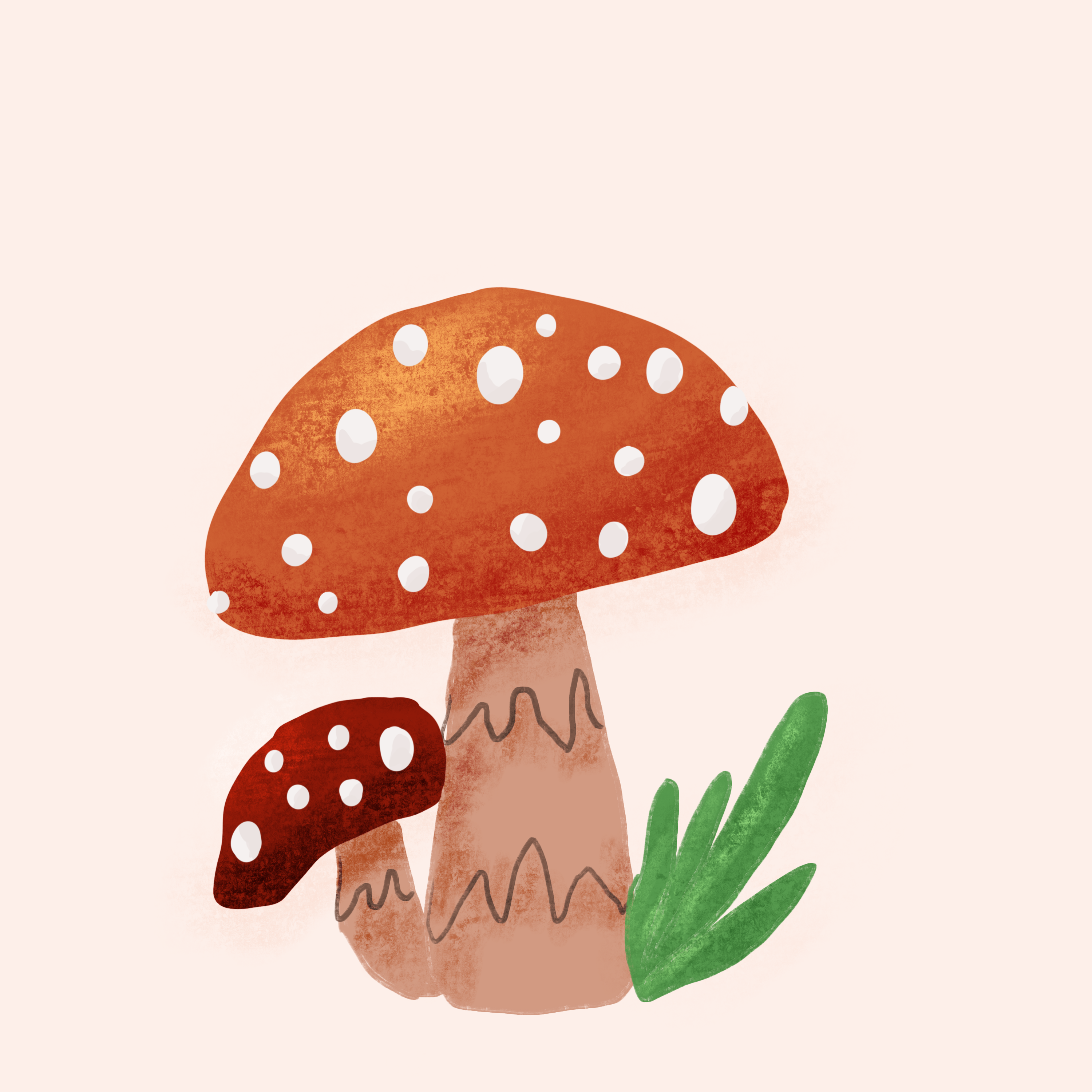 more-projects-from-class-img