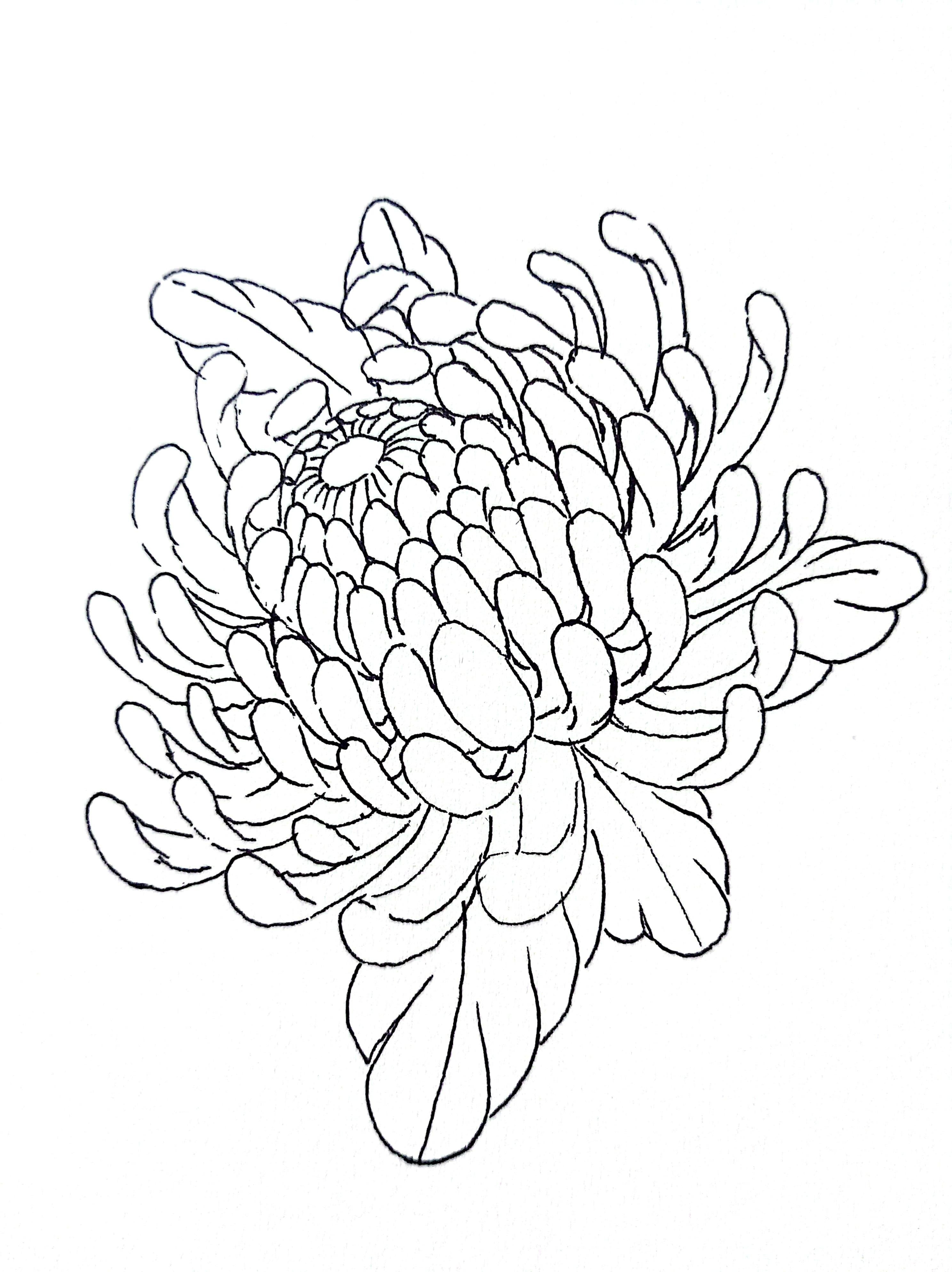more-projects-from-class-img