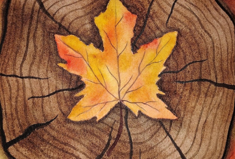 Autumn Leaf studies