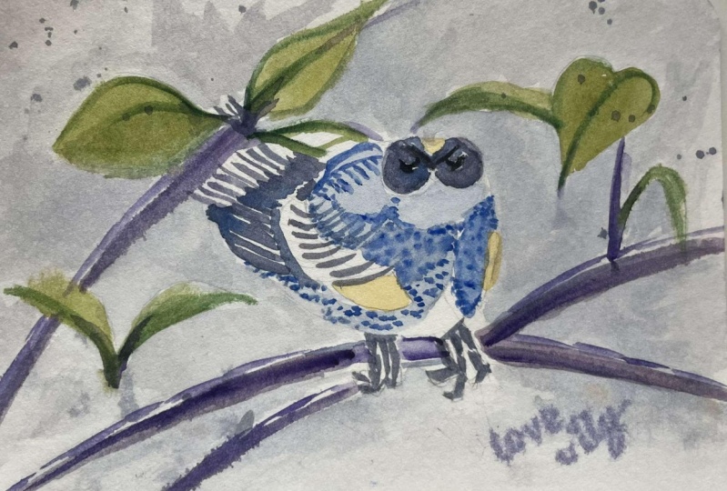 my summer ready yellow rumped warbler is wearing shades. . :)