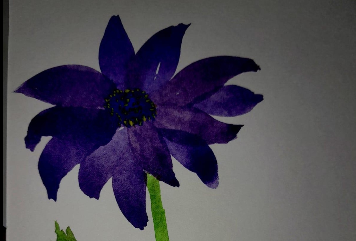 Flowers - student project