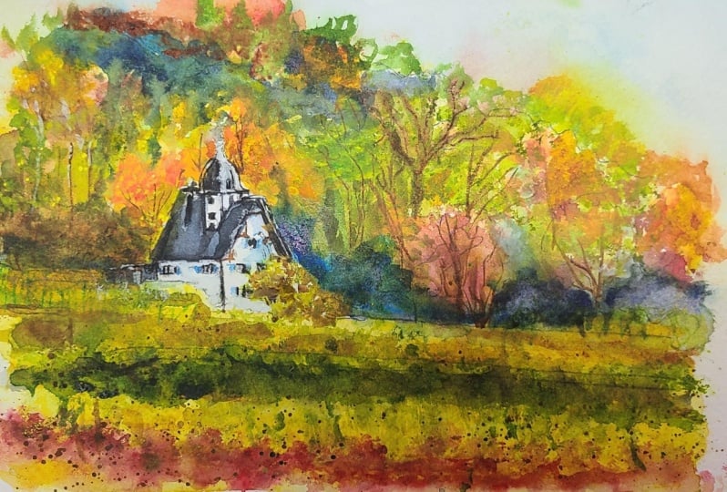 vineyard