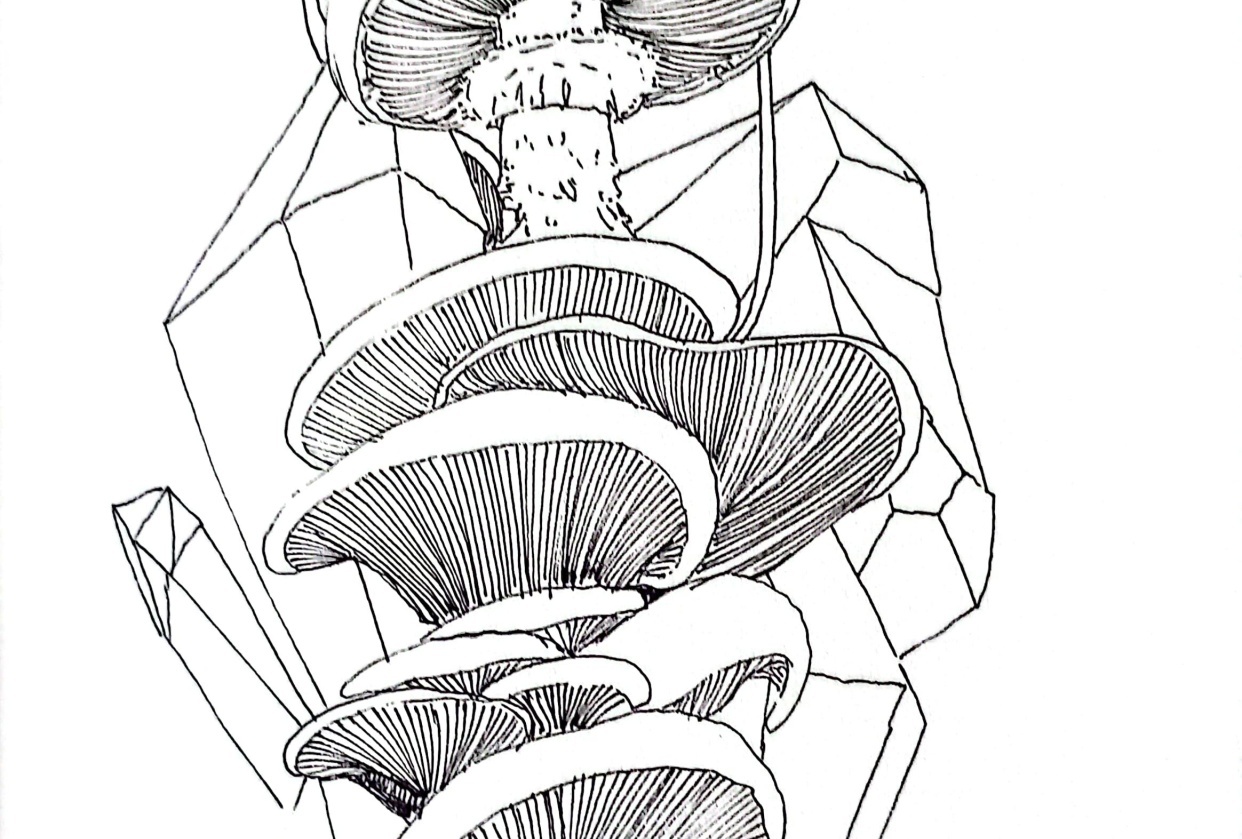 Ornamental Filigree \u0026amp; Frames Flash Stamp Pack – Elegante ornamenta, image size:1242x839