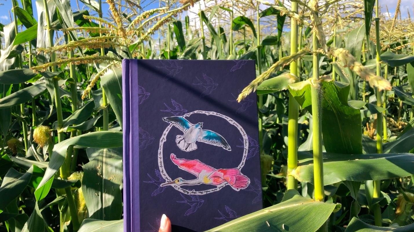 My take-aways from the pivoting conversations