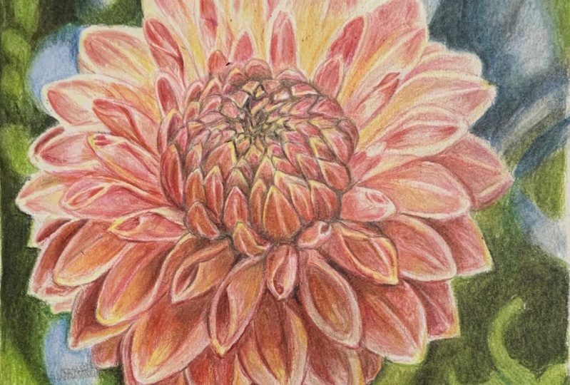 How to use solvents with colored pencils