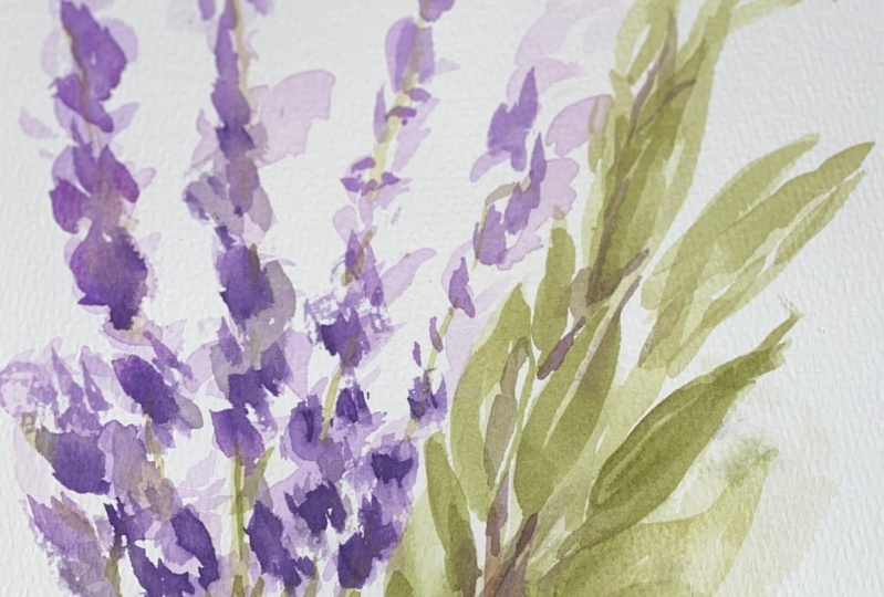 Lavender and Sage