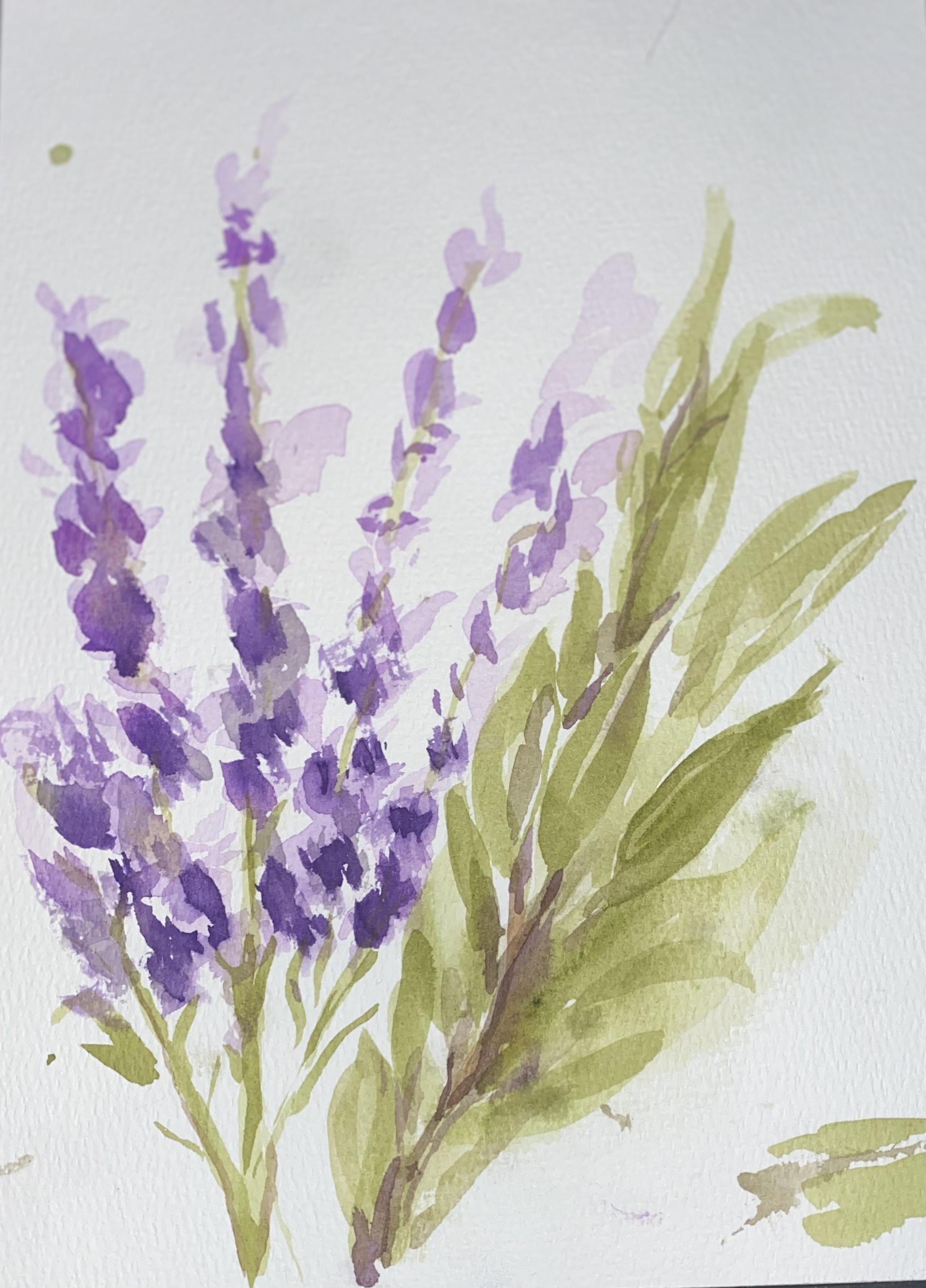 Lavender and Sage - student project