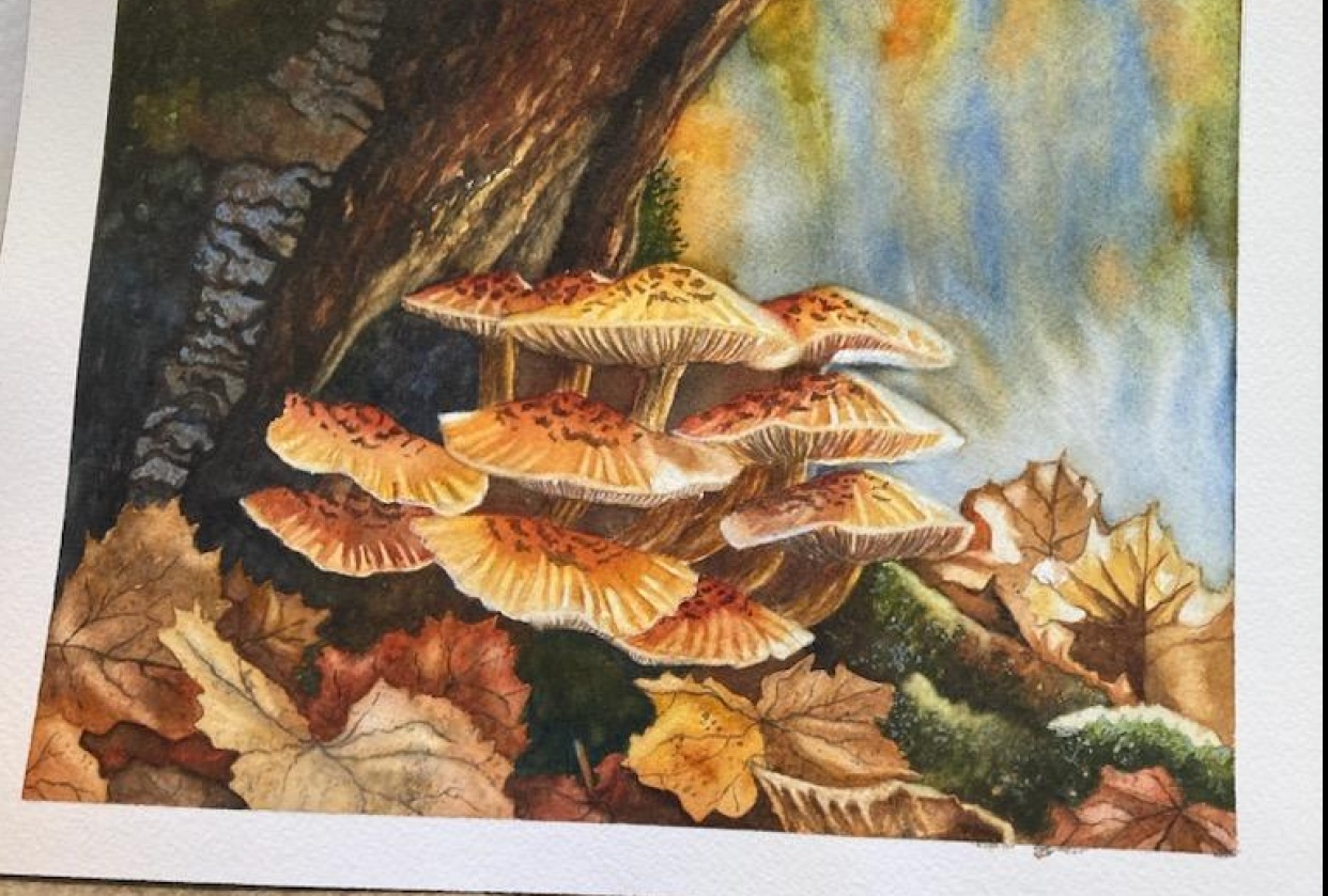 Chris' Golden Mushrooms - student project