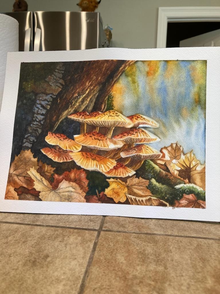 Chris' Golden Mushrooms - student project