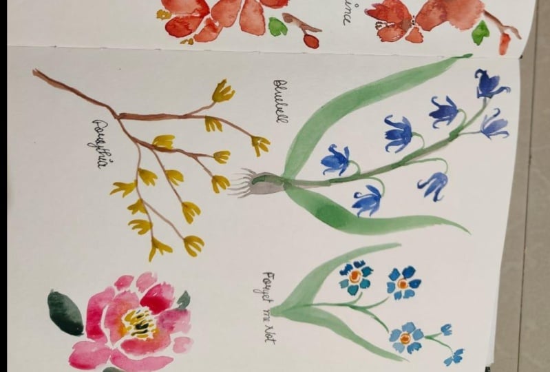 Spring Flowers