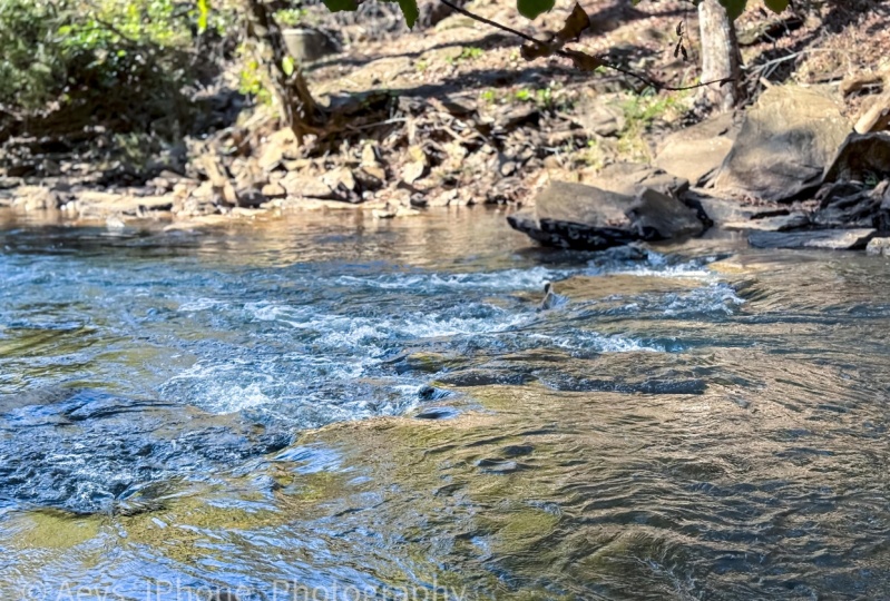 River scene