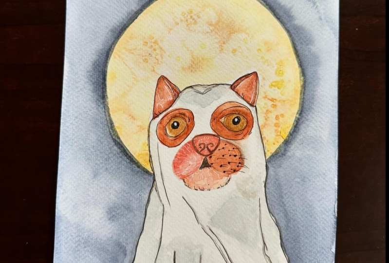 Spooky dog