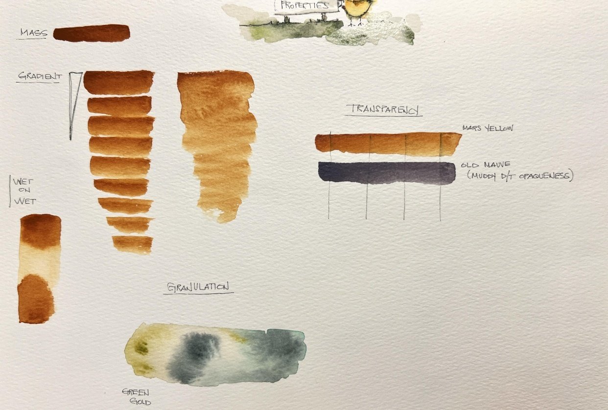 My Pronoun is Color Palette Indecisive - student project