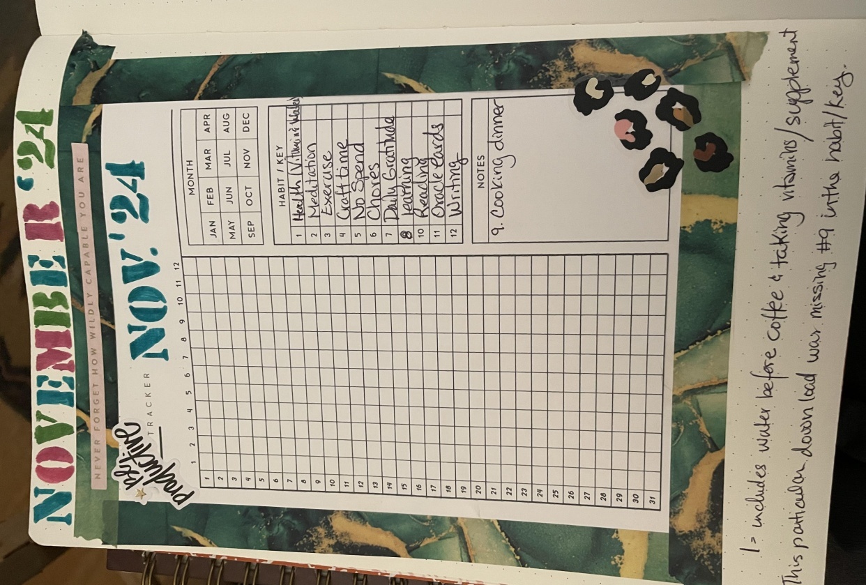 November 2024 monthly habit tracker - student project