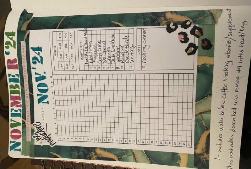 November 2024 monthly habit tracker