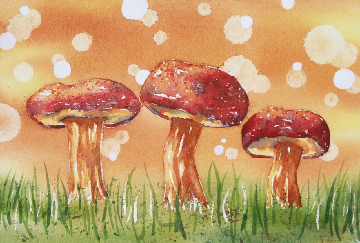Fall Mushrooms With Bokeh Background - student project