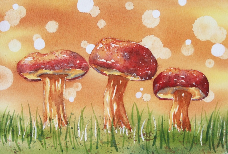 Fall Mushrooms With Bokeh Background