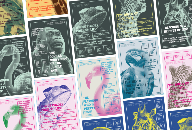 My Zoo posters