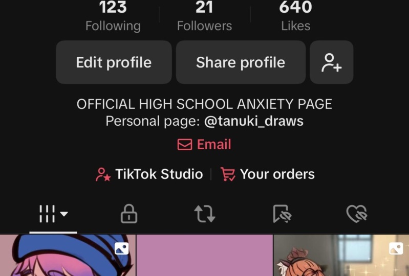 My TikTok Accounts