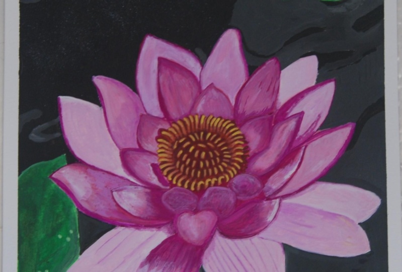 Water Lily