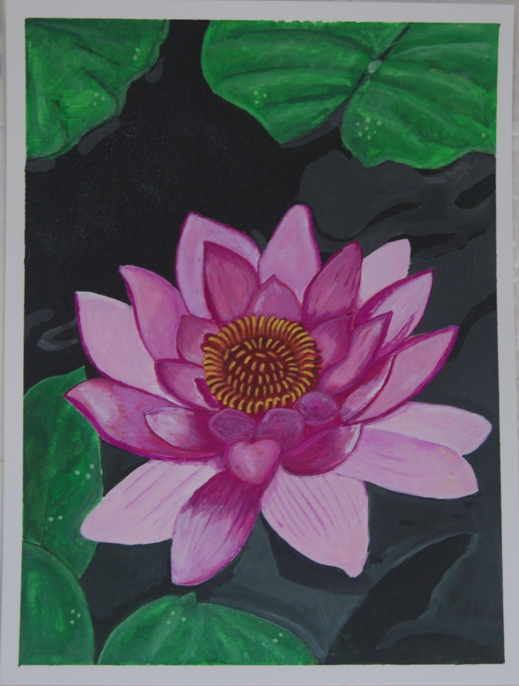 Water Lily - student project