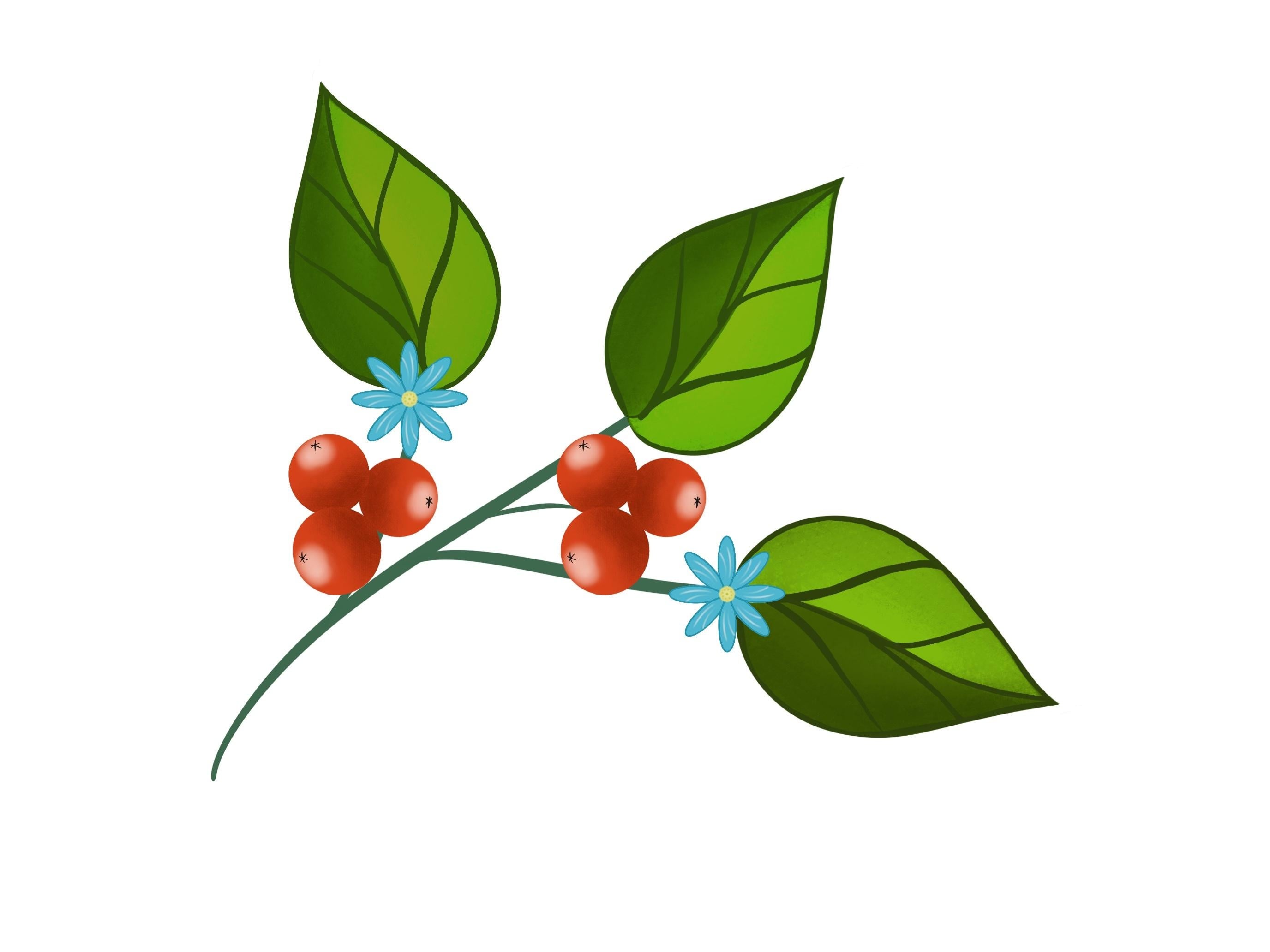 more-projects-from-class-img